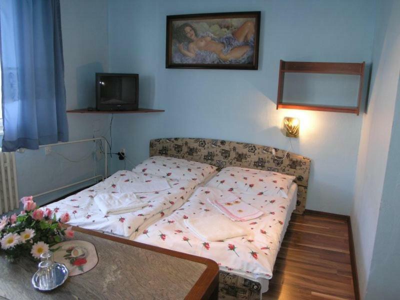Biela Labut Hotel Michalovce Buitenkant foto