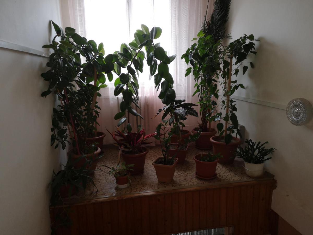 Biela Labut Hotel Michalovce Buitenkant foto