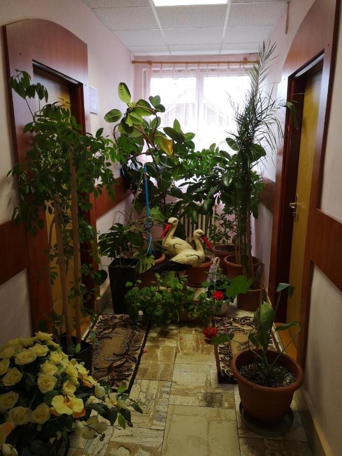 Biela Labut Hotel Michalovce Buitenkant foto